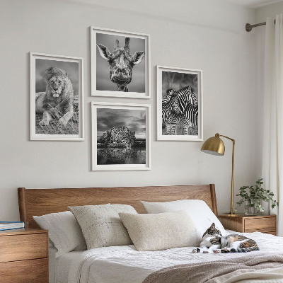 Composizione di 4 quadri Animali selvatici: Leone, Giaguaro, Giraffa, Zebre