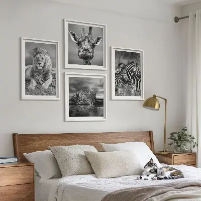 Composizione di 4 quadri con animali selvatici leone giaguaro giraffa e zebre