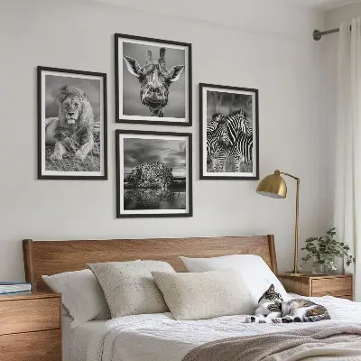 Composizione di 4 quadri con animali selvatici leone giaguaro giraffa e zebre