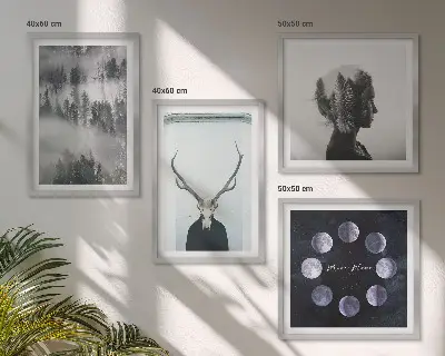 Composizione di 4 quadri con illustrazione raffigurante foresta, nebbia, luna, teschio e donna