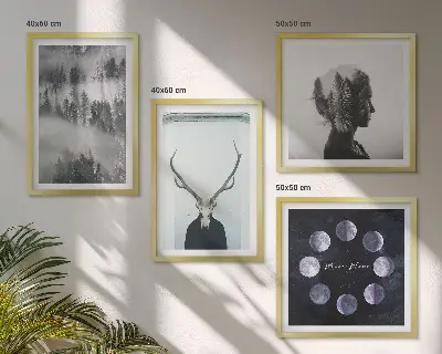Composizione di 4 quadri con illustrazione raffigurante foresta, nebbia, luna, teschio e donna