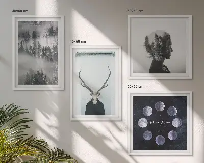 Composizione di 4 quadri con illustrazione raffigurante foresta, nebbia, luna, teschio e donna