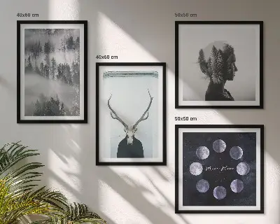 Composizione di 4 quadri con illustrazione raffigurante foresta, nebbia, luna, teschio e donna