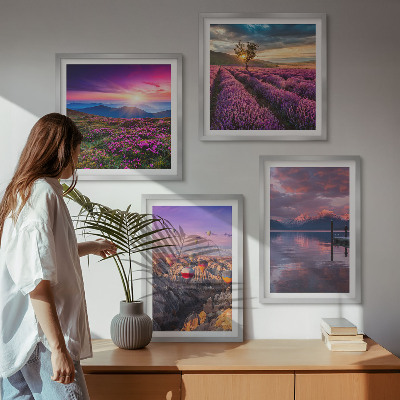 Galleria a parete Tramonto sui campi di lavanda