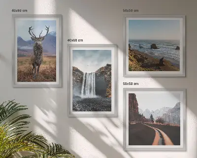 Galleria a parete con paesaggi di montagne, cascate, cervi e spiagge