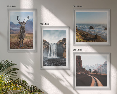 Galleria a parete paesaggi montani cascata cervo spiagge