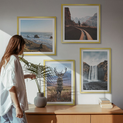 Galleria a parete paesaggi montani cascata cervo spiagge