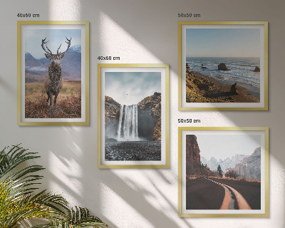 Galleria a parete paesaggi montani cascata cervo spiagge