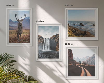 Galleria a parete paesaggi montani cascata cervo spiagge