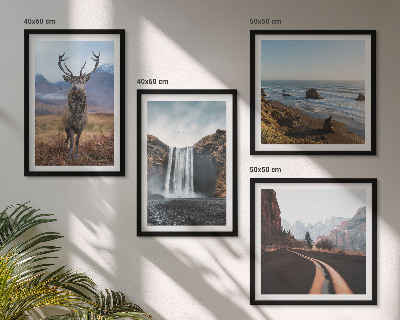 Galleria a parete paesaggi montani cascata cervo spiagge