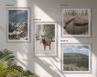 Composizione di 4 quadri Montagne, cervi delle nevi, paesaggio forestale