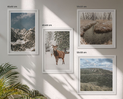 Composizione di 4 quadri Montagne, cervi delle nevi, paesaggio forestale