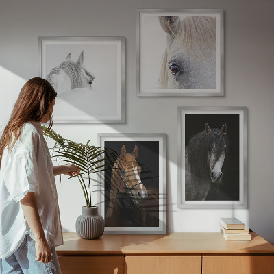 Galleria a parete Ritratti di cavalli in tonalità di ombra