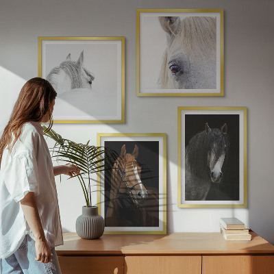 Galleria a parete Ritratti di cavalli in tonalità di ombra