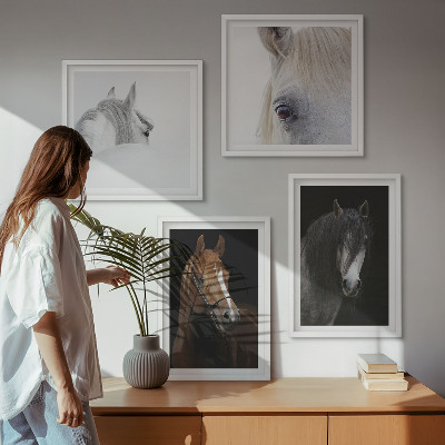 Galleria a parete Ritratti di cavalli in tonalità di ombra