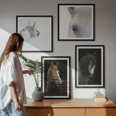 Galleria a parete Ritratti di cavalli in tonalità di ombra