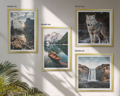 Composizione di 4 quadri montagne laghi cascata lupo