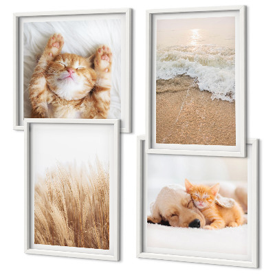 Polittico con cornice Animali carini gatti cani spiaggia