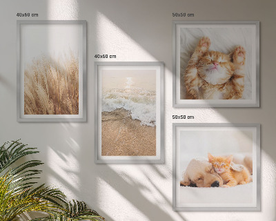 Polittico con cornice Animali carini gatti cani spiaggia