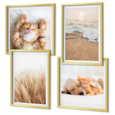 Polittico con cornice Animali carini gatti cani spiaggia