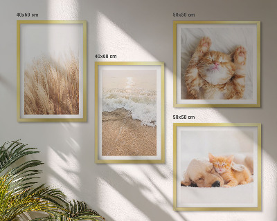 Polittico con cornice Animali carini gatti cani spiaggia