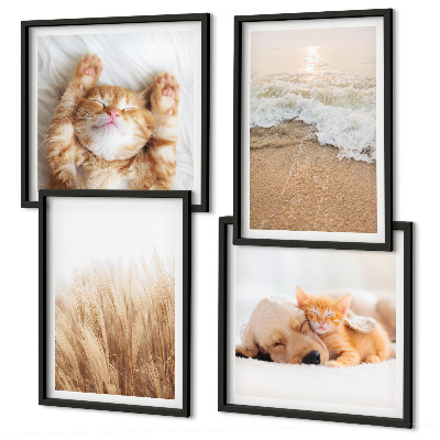 Polittico con cornice Animali carini gatti cani spiaggia