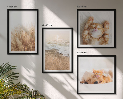 Polittico con cornice Animali carini gatti cani spiaggia