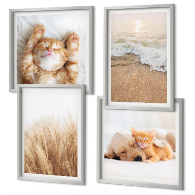 Polittico con cornice Animali carini gatti cani spiaggia
