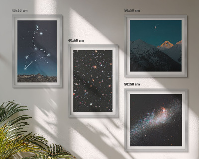 Composizione di 4 quadri Galassia Leone e Spazio