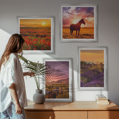 Galleria a parete Paesaggio montano, cavallo, lavanda