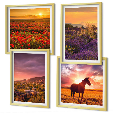 Galleria a parete Paesaggio montano, cavallo, lavanda