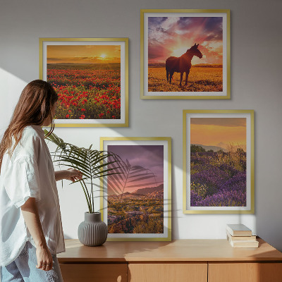 Galleria a parete Paesaggio montano, cavallo, lavanda