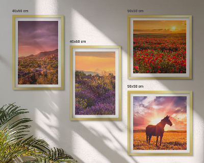 Galleria a parete Paesaggio montano, cavallo, lavanda