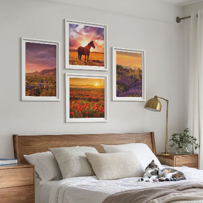 Galleria a parete Paesaggio montano, cavallo, lavanda