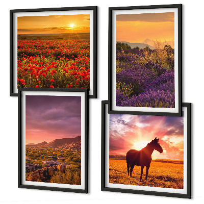 Galleria a parete Paesaggio montano, cavallo, lavanda