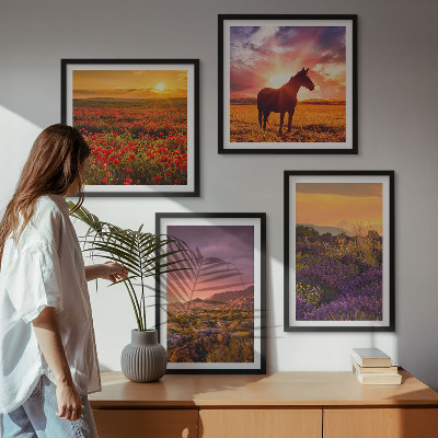 Galleria a parete Paesaggio montano, cavallo, lavanda