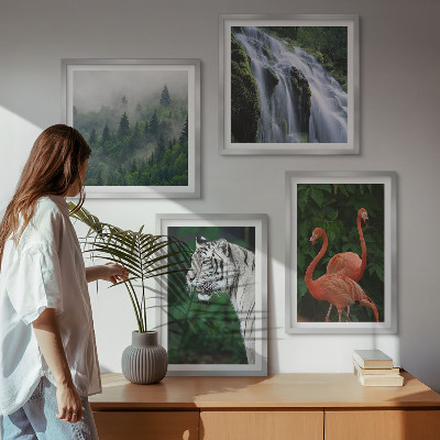 Galleria a parete cascata della tigre fenicotteri natura