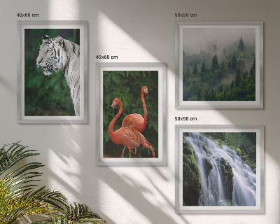Galleria a parete cascata della tigre fenicotteri natura