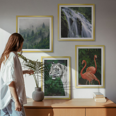 Galleria a parete cascata della tigre fenicotteri natura