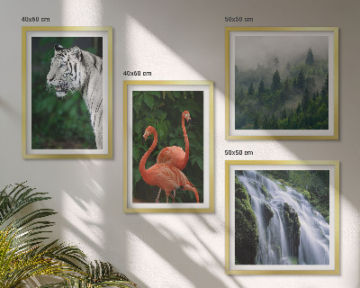 Galleria a parete cascata della tigre fenicotteri natura