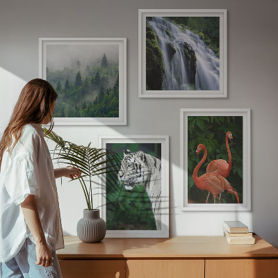 Galleria a parete cascata della tigre fenicotteri natura