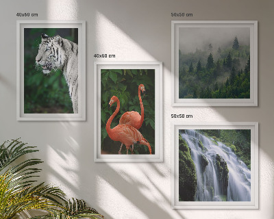 Galleria a parete cascata della tigre fenicotteri natura