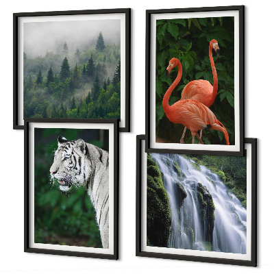 Galleria a parete cascata della tigre fenicotteri natura