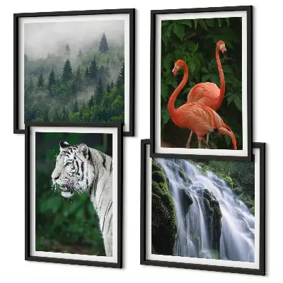 Galleria a parete con cascata, tigre e fenicotteri nella natura