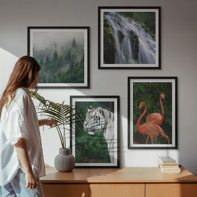 Galleria a parete cascata della tigre fenicotteri natura