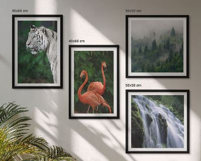 Galleria a parete cascata della tigre fenicotteri natura