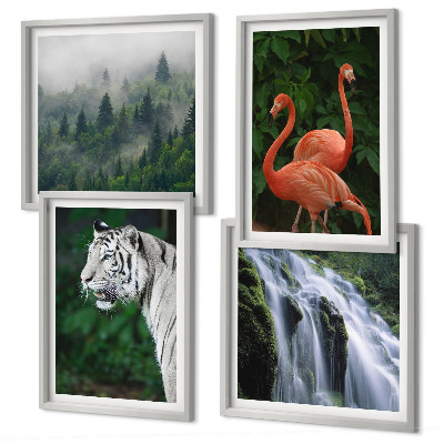 Galleria a parete cascata della tigre fenicotteri natura