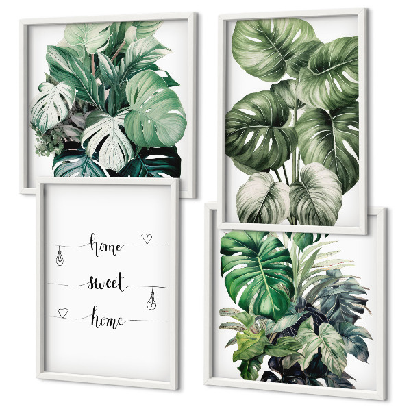 Composizione di 4 quadri Foglie di Monstera ad acquerello
