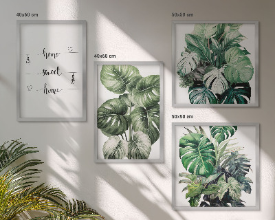 Composizione di 4 quadri Foglie di Monstera ad acquerello