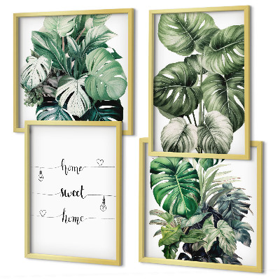 Composizione di 4 quadri Foglie di Monstera ad acquerello